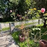 Messe-Apartment, 4 Schlafzimmer, 80 Qm, Garten - 6 Km Zur Messe, Verkehrsguenstig, Ruhig, Parkplaetze